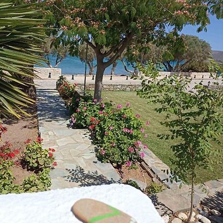 Grandes Apartments Sea Front Palaikastro Exterior foto
