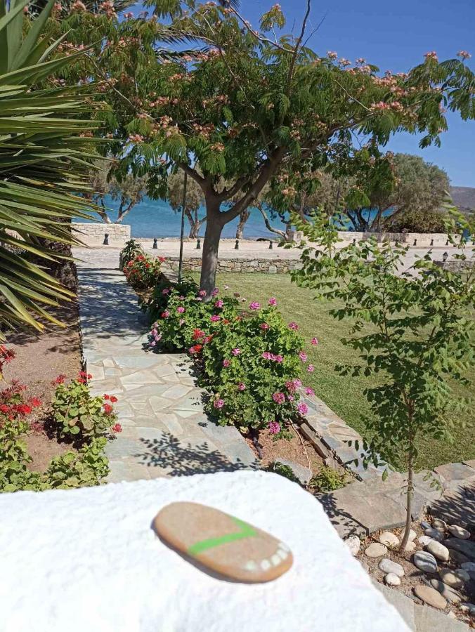 Grandes Apartments Sea Front Palaikastro Exterior foto