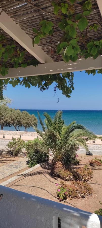 Grandes Apartments Sea Front Palaikastro Exterior foto